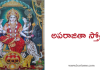 Aparajitha Stotram | అపరాజితా స్తోత్రమ్