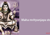 Maha Mrityunjaya Stotram | Lord Shiva Stotra