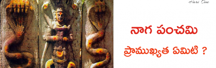 What is Naga Panchami Significance in Telugu ?