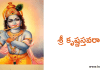 శ్రీ కృష్ణస్తవరాజ – Sri Krishna Stavaraja
