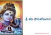 శ్రీ శివ షోడశోపచార పూజ – Sri Shiva Shodasopachara Puja Vidhanam