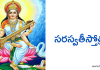 సరస్వతీ స్తోత్రం – Sri Saraswati Stotram in Telugu