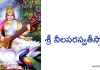 శ్రీ నీలసరస్వతీ స్తోత్రం – Sri Neela Saraswati Stotram శ్రీ నీలసరస్వతీస్తోత్రం - Sri Neela Saraswati stotram in Telugu Pdf Download Online