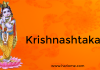 Krishnashtakam