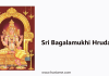 Sri Bagalamukhi Hrudayam