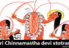 Sri Chinnamasta Devi Stotram