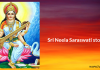 Sri Neela Saraswati Stotram | śhrī nīlasarasvatī stōtram