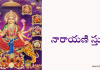 నారాయణి స్తుతి – Narayani stuti