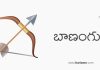 బాణంగురి