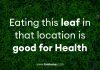 Eating this leaf in that location is good for Health