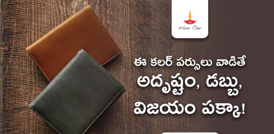 Vastu Tips for These Wallet Colours