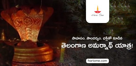 Saleshwaram Lingamayya Jatara 2023