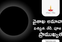 వైశాఖ అమావాస్య విశిష్టత, 2025 తేదీ, పూజ విధి & ప్రాముఖ్యత! | Vaishakha Amavasya 2025 Vaishakha Amavasya