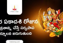 Apara Ekadashi 2026 | అపర ఏకాదశి, ముహూర్తం, ఆచారాలు, ప్రాముఖ్యత, వ్రత కథ, పూజా విధానం. Apara Ekadashi