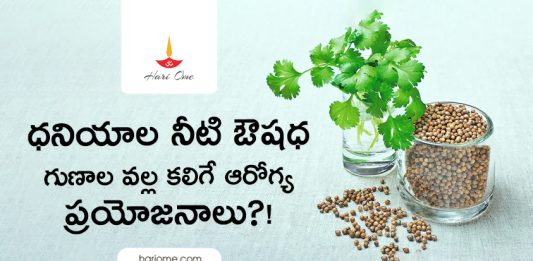 Coriander Water Health Benefits