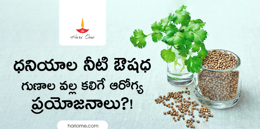 coriander water benefits