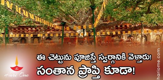 Gaya Banyan Tree Worship & Results