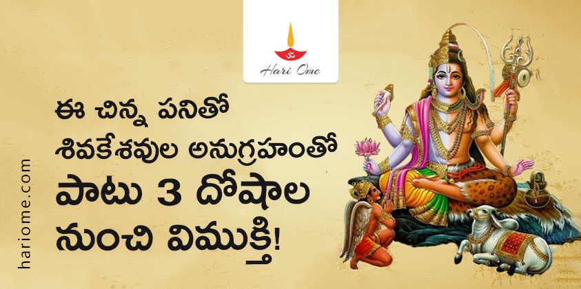 Rice Astro Remedies To Please Lord Shiva & Vishnu and To Get Rid Of Shani Pitru & Surya Dosh
