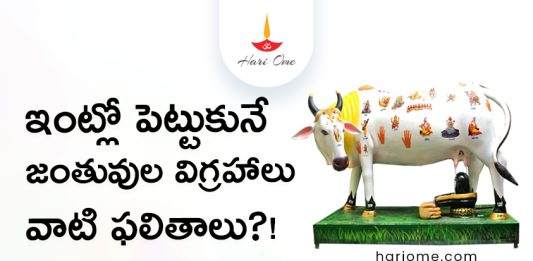 What Happen If Keeping These Animal Idols in the House