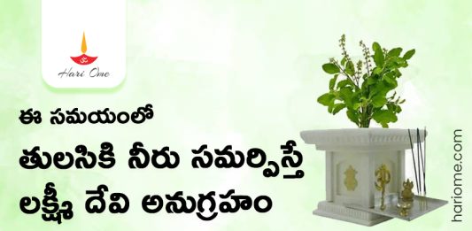 Right Time to Offer Water to Tulsi