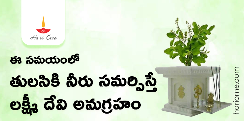 Right Time to Offer Water to Tulsi