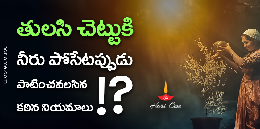Tulsi Plant Rules