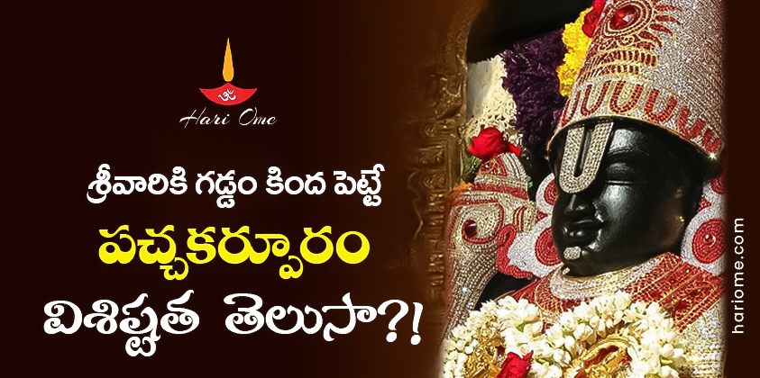 why green camphor is applied to venkateshwaraswami