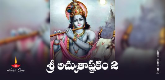 Achyuta Ashtakam 2 Lyrics in Telugu PDF