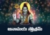 Anamaya Stotram Lyrics in Telugu | అనామయ స్తోత్రమ్ Anamaya Stotram Lyrics in Telugu
