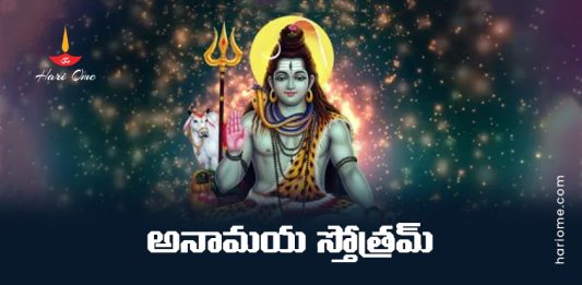 Anamaya Stotram Lyrics in Telugu