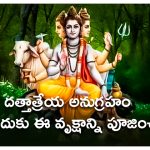 Dadatreya