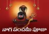 Nag Panchami Puja Vidhi in Telugu | నాగ పంచమీ పూజా విధానం Naga Panchami Puja Vidhi in Telugu
