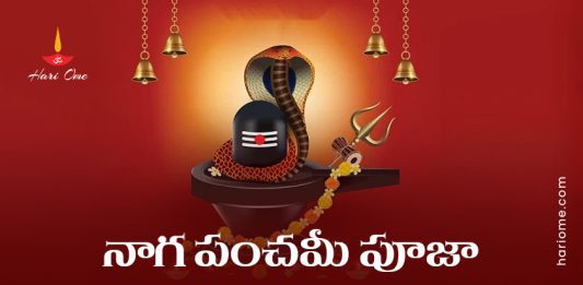 Naga Panchami Puja Vidhi in Telugu