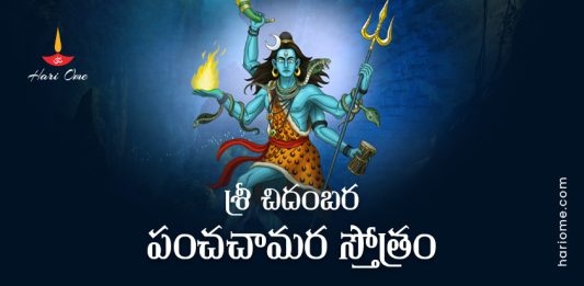 Sri Chidambara Panchachamara Stotram Lyrics in Telugu