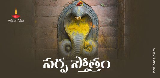 Sarpa Stotram Lyrics in Telugu