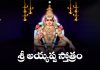 Sri Ayyappa Stotram Lyrics in Telugu | శ్రీ అయ్యప్ప స్తోత్రం Sri Ayyappa Stotram Lyrics in Telugu