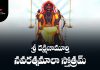 Sri Dakshinamurthy Navaratna Mala Stotram in Telugu | శ్రీ దక్షిణామూర్తి నవరత్నమాలా స్తోత్రమ్ Sri Dakshinamurthy Navaratna Mala Stotram Lyrics in Telugu