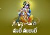Sri Krishna Govinda Hare Murari Bhajana in Telugu | శ్రీ కృష్ణ గోవింద హరే మురారే Sri Krishna Govinda Hare Murari Bhajana Lyrics in Telugu