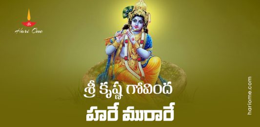 Sri Krishna Govinda Hare Murari Bhajana Lyrics in Telugu