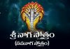 Sri Naga Stotram (Nava Naga) in Telugu | శ్రీ నాగ స్తోత్రం (నవనాగ స్తోత్రం) Sri Naga Stotram (Nava Naga Stotram) Lyrics in Telugu