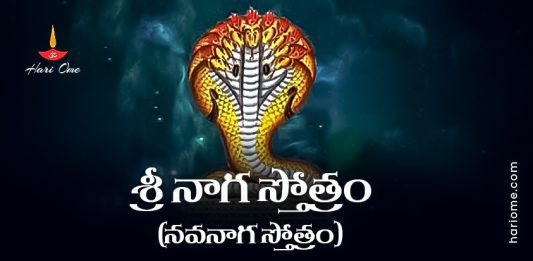Sri Naga Stotram (Nava Naga Stotram) Lyrics in Telugu