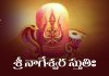 Sri Nageshwara Stuti Lyrics in Telugu | శ్రీ నాగేశ్వర స్తుతిః Sri Nageshwara Stuti Lyrics in Telugu