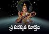 Saraswathi Suktam (Rigveda Samhita) Telugu | శ్రీ సరస్వతీ సూక్తం (ఋగ్వేద సంహిత) Sri Saraswathi Suktam (Rigveda Samhita) Lyrics In Telugu