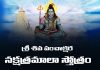 Sri Shiva Panchakshara Nakshatramala Stotram in Telugu | శ్రీ శివ పంచాక్షర నక్షత్రమాలా స్తోత్రం Sri Shiva Panchakshara Nakshatramala Stotram Lyrics in Telugu