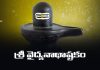 Sri Vaidyanatha Ashtakam Lyrics in Telugu | శ్రీ వైద్యనాథాష్టకం Sri Vaidyanatha Ashtakam Lyrics in Telugu
