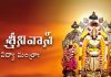 Srinivasa Vidya Mantra Lyrics in Telugu | శ్రీనివాస విద్యా మంత్రాః Srinivasa Vidya Mantra in Telugu