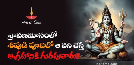 Worship To Lord Shiva in Shravana Month