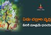 ఏడు చక్రాల వృక్షంతో ధనయోగం.| Vastu Tips 7 Chakra Tree Natural Crystal Gemstone For Growth, How