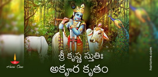 Akrura Kruta Krishna Stuti Lyrics in Telugu PDF
