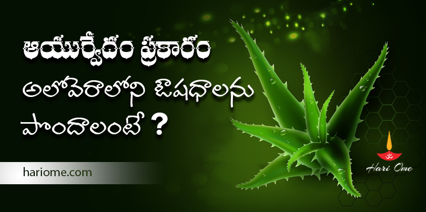 How To Get Amazing Health Benefits With Aloe Vera